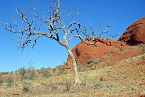 Australien, Outback