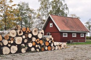 Haus mit Holz