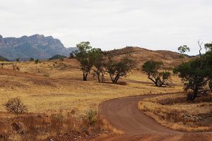 The Dry