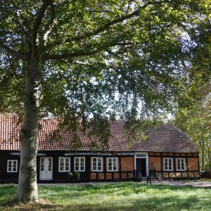 Skagen, Kroyers Haus