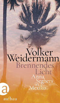 Brennendes Licht, Buchcover