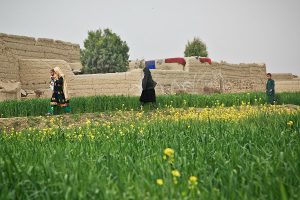 Die Frauen des Dorfes fassen Zutrauen zu Parvin.