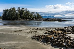 Jake arbeitet als Tourguide auf Greenwood Island