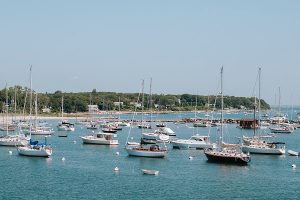 Erneut treffen sich die Freunde auf Martha's Vineyard