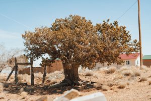 Crossroads: Schauplatz Navajo Nation Reservation
