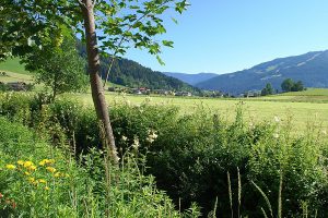 Die Nachricht: Schauplatz Österreich